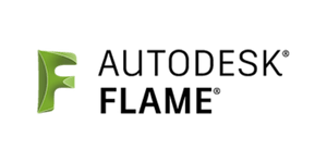 Autodesk Flame Logo